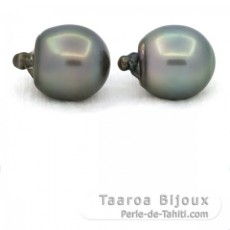 Lot of 2 Tahitian Pearls Semi-Baroque C 13.5 and 13.7 mm