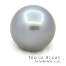 Tahitian Pearl Round B 14 mm