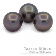 Lot of 3 Tahitian Pearls Near-Round C from 12.6 to 12.8 mm