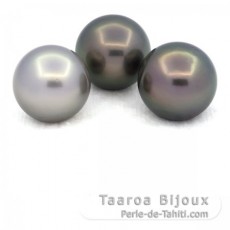 Lot of 3 Tahitian Pearls Round C from 12.5 to 12.8 mm