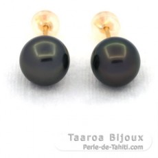 18K solid Gold Earrings and 2 Tahitian Pearls Round C 9 mm