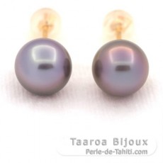 18K solid Gold Earrings and 2 Tahitian Pearls Round B 9.1 mm