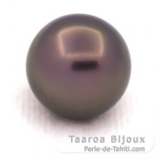 Tahitian Pearl Round B/C 12.4 mm