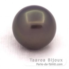 Tahitian Pearl Round B/C 12.6 mm