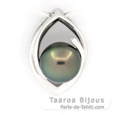 Rhodiated Sterling Silver Pendant and 1 Tahitian Pearl Round C 9.4 mm