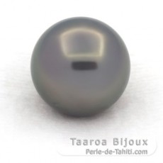 Tahitian Pearl Round C 15 mm