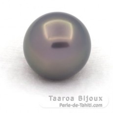 Tahitian Pearl Round A/B 12.7 mm