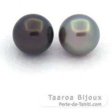 Lot of 2 Tahitian Pearls Round C 10.8 mm