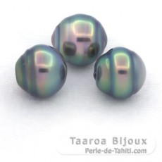 Lot of 3 Tahitian Pearls Ringed C from 10.4 to 10.6 mm
