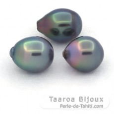 Lot of 3 Tahitian Pearls Semi-Baroque C from 11 to 11.3 mm