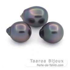 Lot of 3 Tahitian Pearls Semi-Baroque B from 11 to 11.3 mm