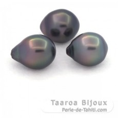 Lot of 3 Tahitian Pearls Semi-Baroque B from 10.5 to 10.7 mm