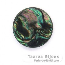 Abalone Mother-of-pearl round shape - 15 mm diameter