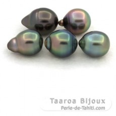 Lot of 5 Tahitian Pearls Ringed B from 8.3 to 8.9 mm