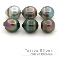 Lot of 6 Tahitian Pearls Ringed B from 9.6 to 9.8 mm