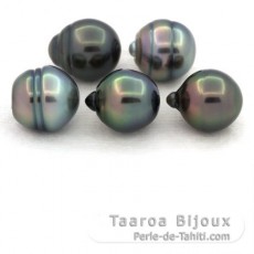 Lot of 5 Tahitian Pearls Ringed B from 10 to 10.4 mm