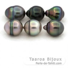 Lot of 6 Tahitian Pearls Ringed B from 9.7 to 9.9 mm