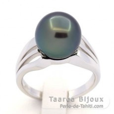 Rhodiated Sterling Silver Ring and 1 Tahitian Pearl Round BC 10.9 mm