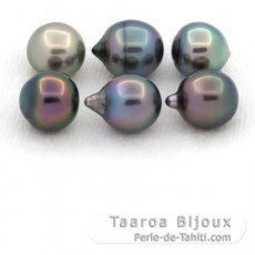 Lot of 6 Tahitian Pearls Semi-Baroque B from 8.5 to 8.8 mm