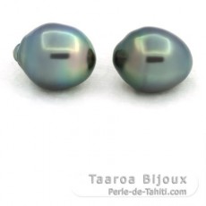 Lot of 2 Tahitian Pearls Ringed B 11.6 mm