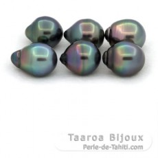 Lot of 6 Tahitian Pearls Ringed B from 10 to 10.4 mm