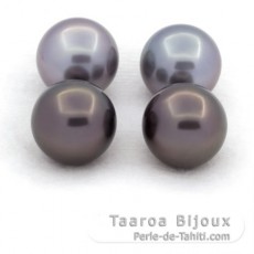 Lot of 4 Tahitian Pearls Round C from 12 to 12.2 mm