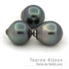 Lot of 3 Tahitian Pearls Ringed C from 12.8 to 12.9 mm