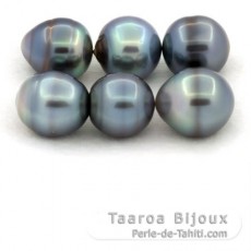 Lot of 6 Tahitian Pearls Ringed C from 12.5 à 13.1 mm