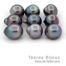 Lot of 9 Tahitian Pearls Semi-Baroque B from 10.1 to 10.4 mm