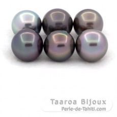Lot of 6 Tahitian Pearls Round and Near-Round C from 9.5 to 9.9 mm