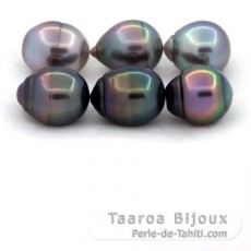 Lot of 6 Tahitian Pearls Ringed B/C from 10.5 to 10.8 mm