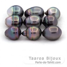 Lot of 9 Tahitian Pearls Ringed C from 10.5 to 10.9 mmm