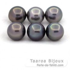 Lot of 6 Tahitian Pearls Round and Near-Round C from 8.7 to 8.9 mm