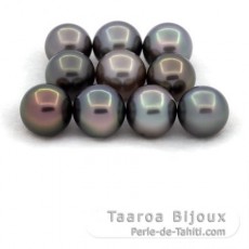 Lot of 10 Tahitian Pearls Round and Near-Round C from 8 to 8.4 mm