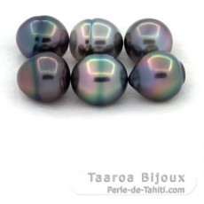 Lot of 6 Tahitian Pearls Ringed B from 11 to 11.2 mm