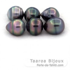 Lot of 6 Tahitian Pearls Ringed C from 11 to 11.5 mm