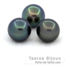 Lot of 3 Tahitian Pearls Round C from 10 to 10.2 mm