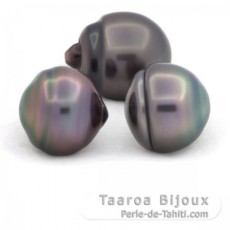 Lot of 3 Tahitian Pearls Ringed B from 11 to 11.3 mm