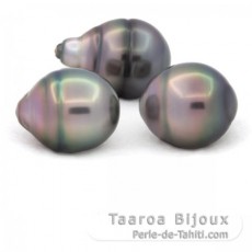 Lot of 3 Tahitian Pearls Ringed B from 11.5 to 11.9 mm