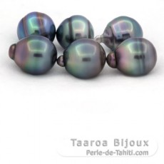 Lot of 6 Tahitian Pearls Ringed B/C from 12 to 12.4 mm