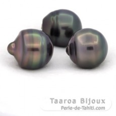 Lot of 3 Tahitian Pearls Ringed C from 12 to 12.4 mm