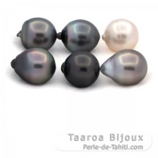 Lot of 6 Tahitian Pearls Semi-Baroque C from 11.6 to 11.8 mm