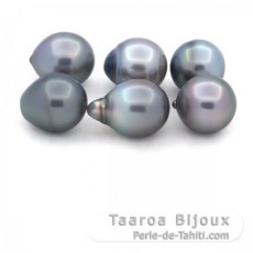 Lot of 6 Tahitian Pearls Semi-Baroque B from 11.1 to 11.4 mm