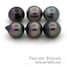 Lot of 6 Tahitian Pearls Semi-Baroque B from 10 to 10.4 mm
