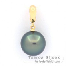 18K solid Gold Clip Pendant and 1 Tahitian Pearl Round B 13.5 mm