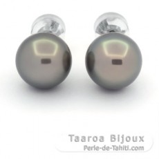 Rhodiated Sterling Silver Earrings and 2 Tahitian Pearls Round C 10.4 mm