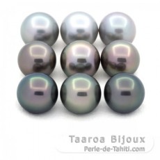 Lot of 9 Tahitian Pearls Round C from 11.5 to 11.9 mm