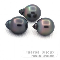 Lot of 3 Tahitian Pearls Semi-Baroque C 12.2 mm