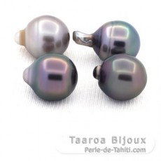 Lot of 4 Tahitian Pearls Ringed C from 11.6 to 11.7 mm