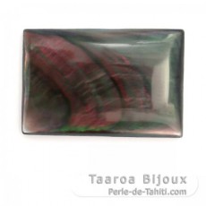 Tahitian mother-of-pearl rectangle shape - 20 x 15 mm